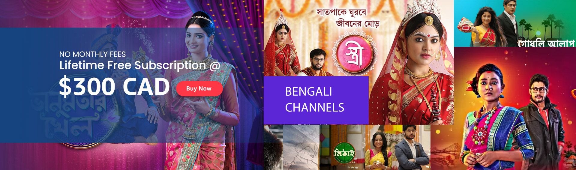 Bengali Channels with Vois IPTV