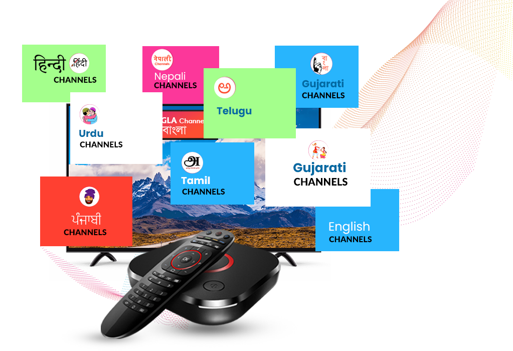 Hindi Channels, English Channels, Punjabi Channels, Urdu Channels, Bangla/ Bangali Channels, Kannada Channels, Malayalam Channels, Gujarati Channels, Nepali Channels, Telugu Channels, Tamil Channels